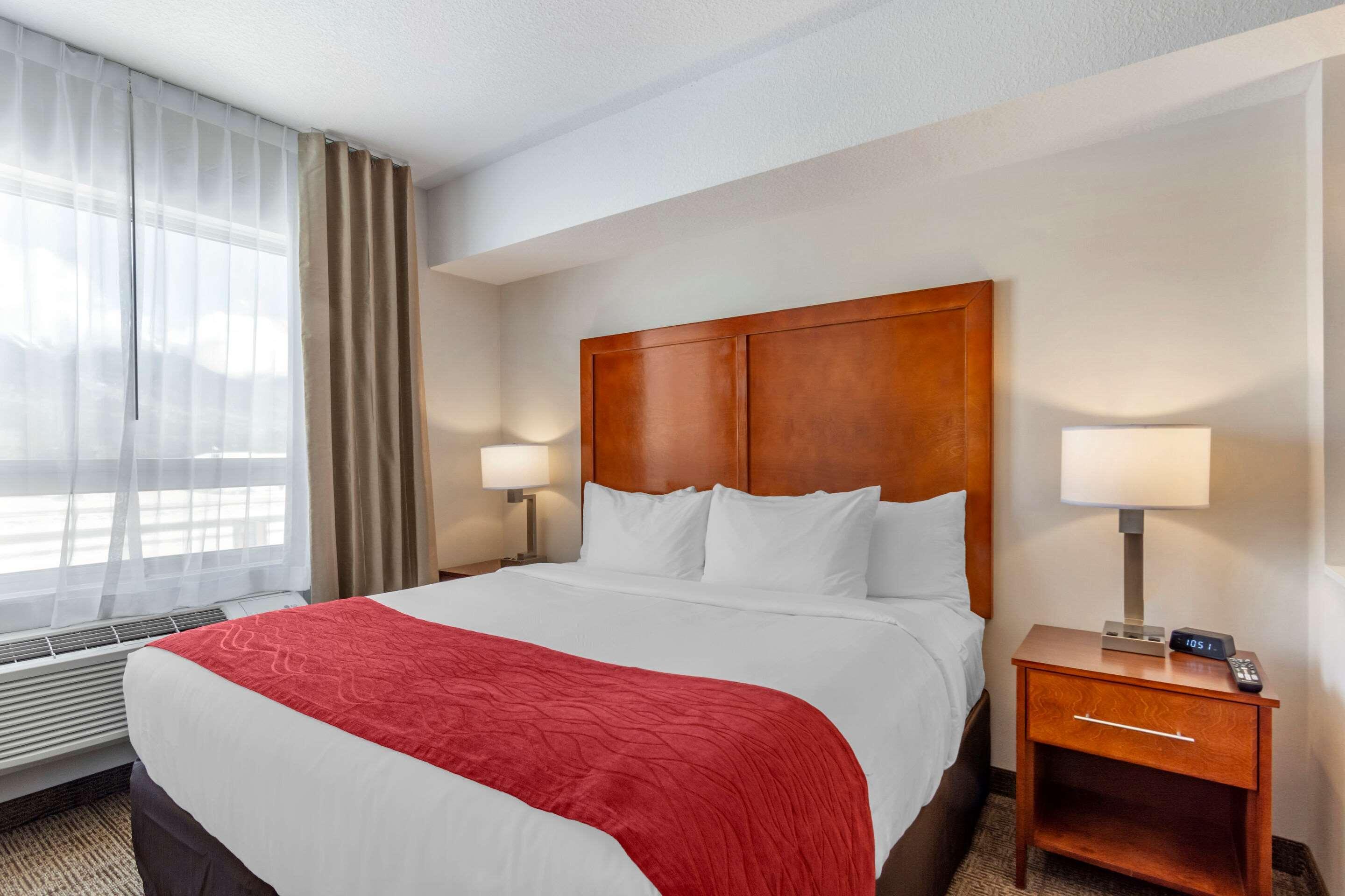 Comfort Inn & Suites バルマウント エクステリア 写真
