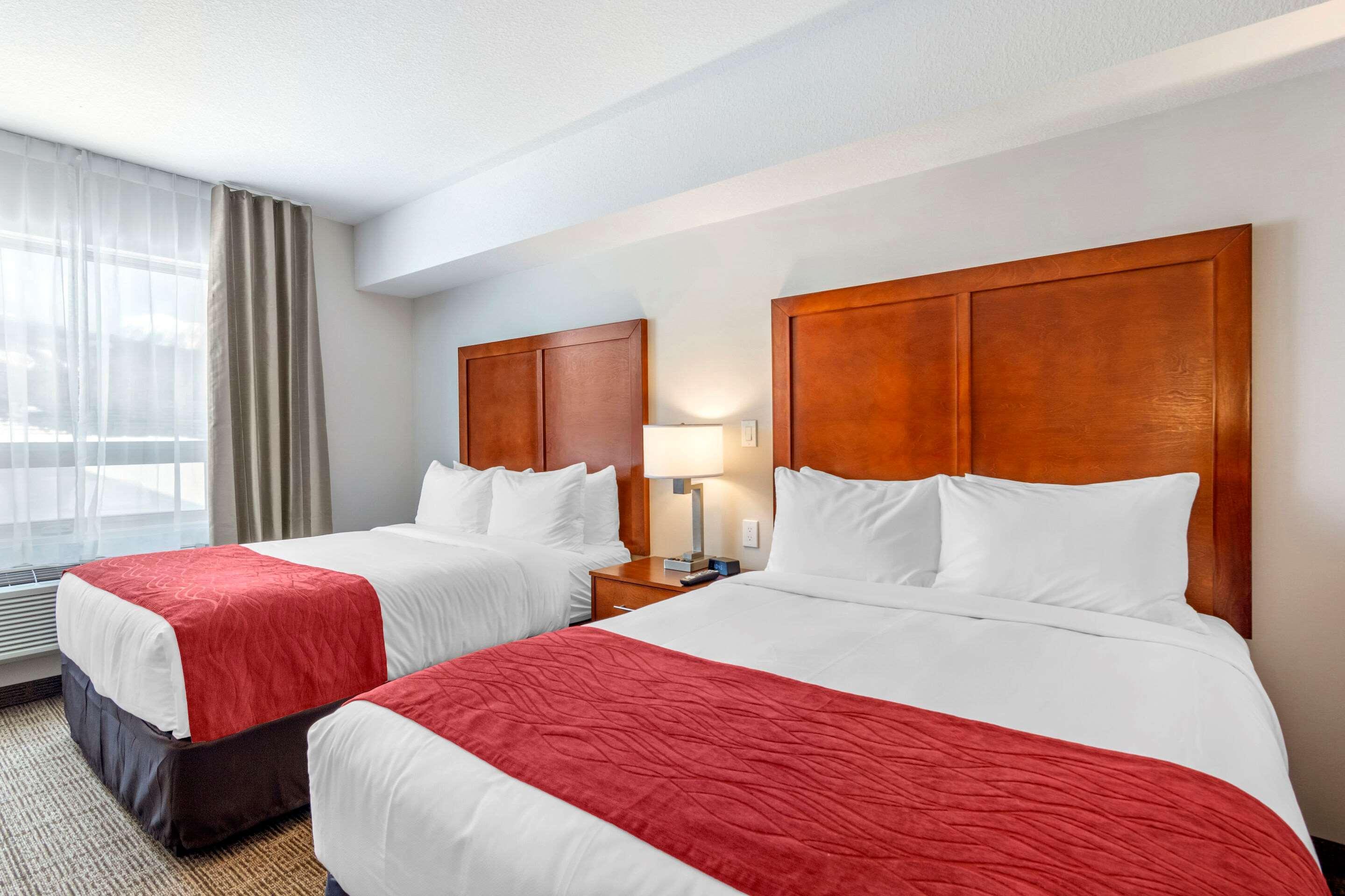 Comfort Inn & Suites バルマウント エクステリア 写真